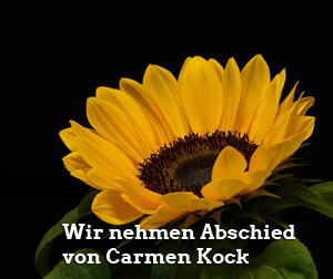 Bild von Ward Zhou auf Pixabay